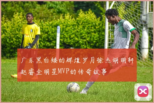广东黑白矮的辉煌岁月徐杰胡明轩赵睿全明星MVP的传奇故事