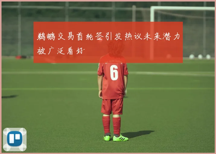 鹈鹕交易首轮签引发热议未来潜力被广泛看好