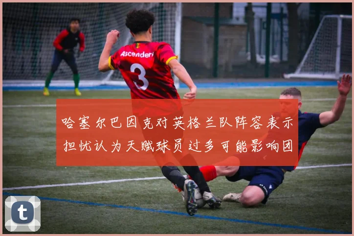 哈塞尔巴因克对英格兰队阵容表示担忧认为天赋球员过多可能影响团队合作