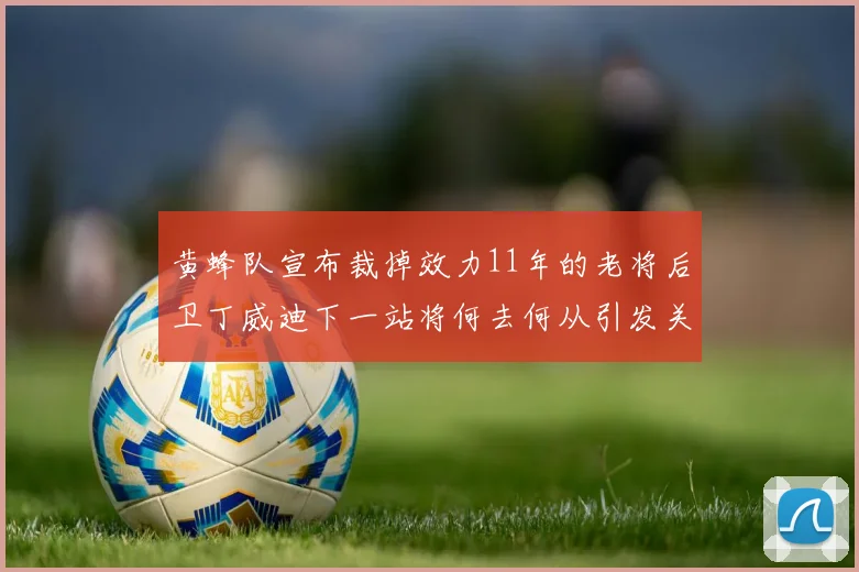 黄蜂队宣布裁掉效力11年的老将后卫丁威迪下一站将何去何从引发关注
