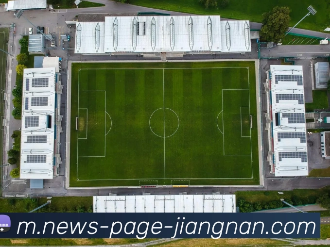 江南体育平台生态图